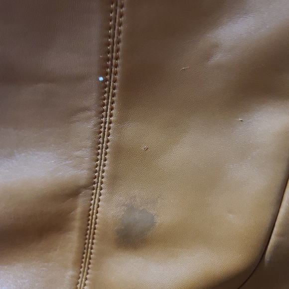 Badgley Mischka Tan with Gold Accent Bag - Picture 3 of 9